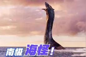 4个关于南极洲的神秘发现，除尼斯湖水怪，在南极也有水怪存在？