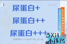 尿蛋白的加号是啥意思？