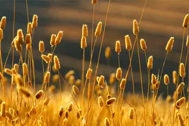 这个世界不缺喜欢，缺的只是一个喜欢的人。因为我还没有遇见！视频封面