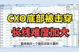 CXO板块底部被击穿，短线继续回避，长线持有的思路要改变一下了视频封面