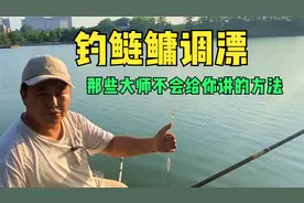 钓鲢鳙调漂，大师们在实战中不会讲的方法，教你如何在实战中调漂视频封面