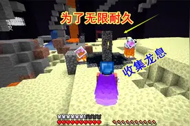 我的世界匠魂153：为了鞘翅的无限耐久，我再临末地收集龙息