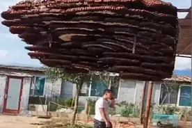 秋季天气变冷了，为什么蚂蜂反而增多？蚂蜂更喜欢天冷？