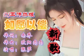 新歌：DJ版《如愿以偿》一首歌循环着播放，是因为歌词和我太像视频封面