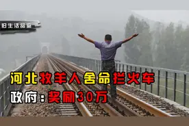 河北牧羊人舍命拦火车，政府: 奖励30万视频封面