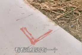 河南农村水泥路上，出现红色L标记，看看这是要给房屋办理产权吗视频封面