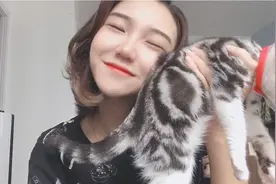 小奶猫身上太香了！萌萌把持不住一直想闻，小猫：妈妈放过我！