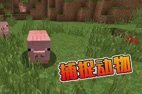 我的世界：这个神器可以捕捉动物，村民也能捕捉！