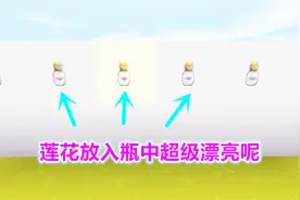 迷你世界夏墨解说：制作瓶中花的教程，莲花放入瓶中超级漂亮呢