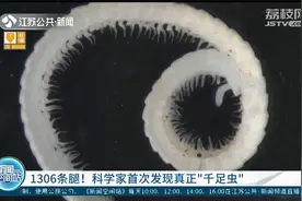 1306条腿！科学家首次发现真正“千足虫”