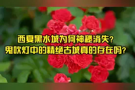 西夏黑水城为何神秘消失？鬼吹灯中的精绝古城真的存在吗？视频封面