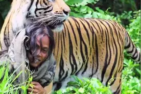 小老虎被女子养大，多年后再次相见，老虎竟还认得！视频封面