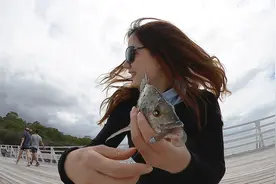 国产原创假饵照样可以爆钓外国海鱼！哼！#路亚  #钓鱼