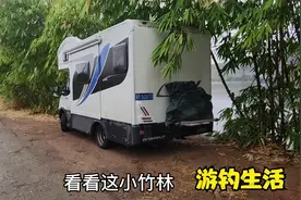 游钓广东第二天，找到完美钓点，韶关市美丽的北江