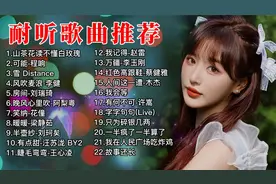 耐听歌曲推荐，休闲居家，车载旅行，百听不厌的好歌曲，无损音质