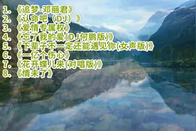 （追梦）（认命吧DJ）（爱情专属权）聆听经典