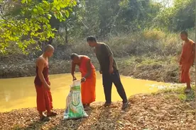 泰国蟒蛇放生视频封面