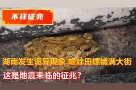 湖南发生诡异现象，蟾蜍田螺铺满大街，这是地震来临的征兆？
