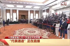 代表通道|侯蓉：不懈努力，恢复和保护大熊猫自然生存环境视频封面