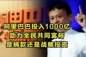 阿里巴巴投入1000亿助力全民共同富裕，是捐款还是战略投资？