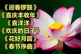 民乐合奏《迎春锣鼓》喜庆丰收年》喜洋洋》欢庆的日子》花好月圆
