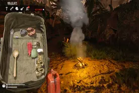 绿色地狱：荒岛求生第31天 猎杀犰狳获得犰狳壳，不知道有什么用