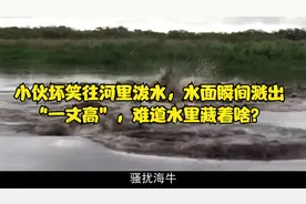 小伙坏笑往河里泼水，水面瞬间溅出“一丈高”，难道水里藏着啥？视频封面