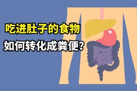 吃进肚子的食物，如何转化成粪便？一分钟带你了解消化系统视频封面