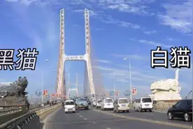 南昌八一大桥，桥头堡竟然是一只白猫一只黑猫，实在有点不可思议