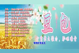 豆包最火的十首DJ歌曲