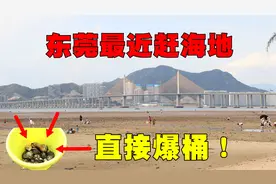 东莞深圳周边亲子赶海天堂，直接爆桶，开车1.5小时直达、免门票视频封面