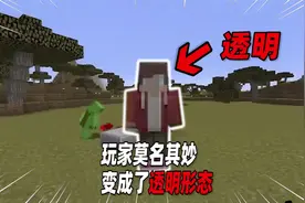 我的世界：玩家莫名其妙变成了透明形态，朋友都看不到他！