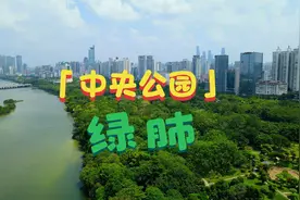 广西南宁的中央公园，城市核心区的“绿肺”，不愧为中国的绿城视频封面
