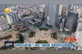 沈阳现代化都市圈“一体化”加速构建 推进经济社会高质量发展视频封面