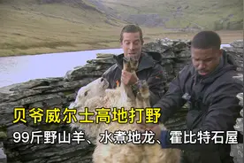 贝爷威尔士高地荒野求生，99斤野山羊、水煮地龙、住霍比特石屋视频封面