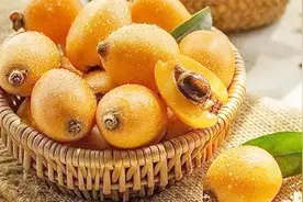 枇杷果的功效与作用有哪些？医生一次性说全！#春季养生正当时#视频封面