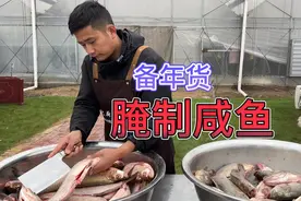 为啥你腌制咸鱼不好吃？很多人方法做错了，难怪做不出酒店味道！