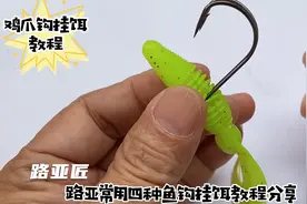 为新手准备的路亚常用四种鱼钩挂饵详细教程分享视频封面