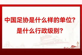 中国足协是什么样的单位？是什么级别？