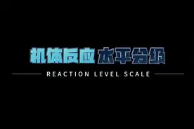 机体反应水平分级（Reaction Level Scale，RLS）