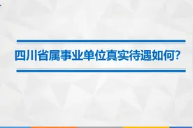 四川省属事业单位真实待遇如何？视频封面