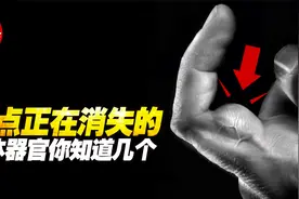 10个消失的人体器官 第七名的器官可能让你恨之入骨视频封面