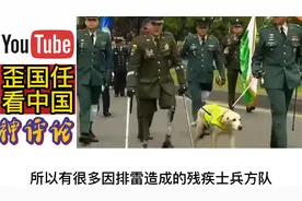 油管看哥伦比亚阅兵仪式，因排雷而残疾的士兵和军犬走在前面视频封面