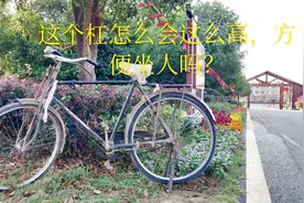 这是永久牌还是凤凰牌的自行车？骑着好舒服呀视频封面