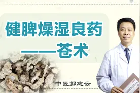 健脾燥湿、祛湿的良药，苍术！