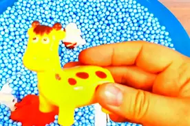 乐享动物乐园带你认识反刍偶蹄动物长颈鹿和鲸鲨视频封面