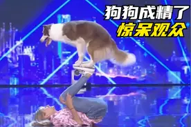 这只狗狗和主人的配合实在太棒了，挑战各种高难度动作都游刃有余视频封面