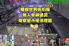 魔兽世界怀旧服猎人单刷通灵（观察室小怪清理篇）