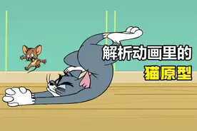 #猫 你知道汤姆和凯蒂猫的原型是什么品种吗？#hellokitty