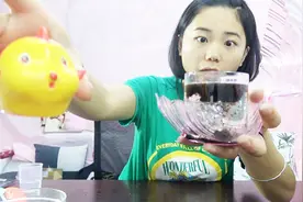 试玩“魔法鱼”，加点水就能孵化的魔法鱼，真的有那么神奇吗？